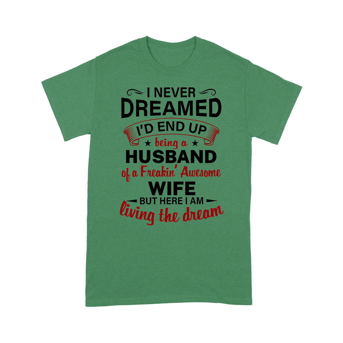 I Never Dream End Up Being A Husband Gift for Husband From Wife Standard Tshirt