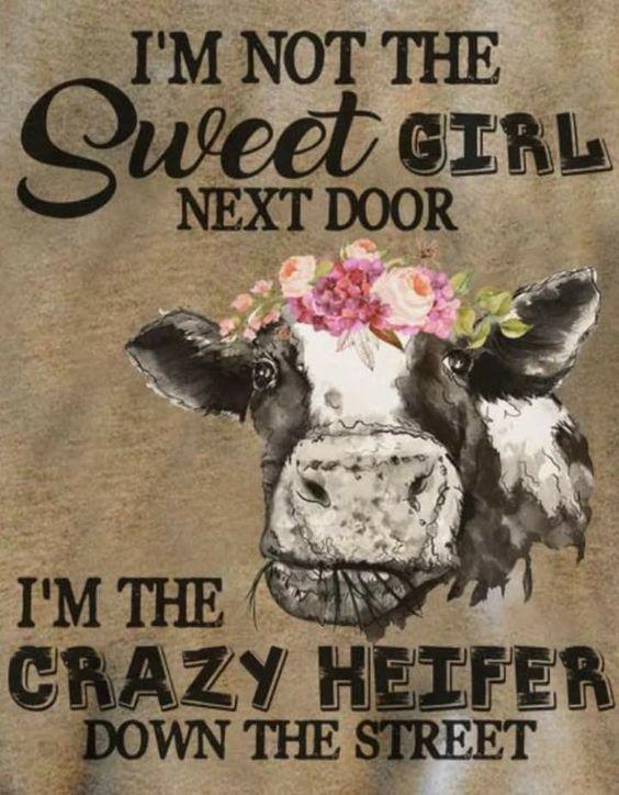 Unisex Gray T Shirt, Crazy Heifer Shirt, I'm Not The Sweet Girl Next Door, Funny Shirt, Best Friend Shirt, Gift For Her, Shirt With Sayings, Plus Size Shirt