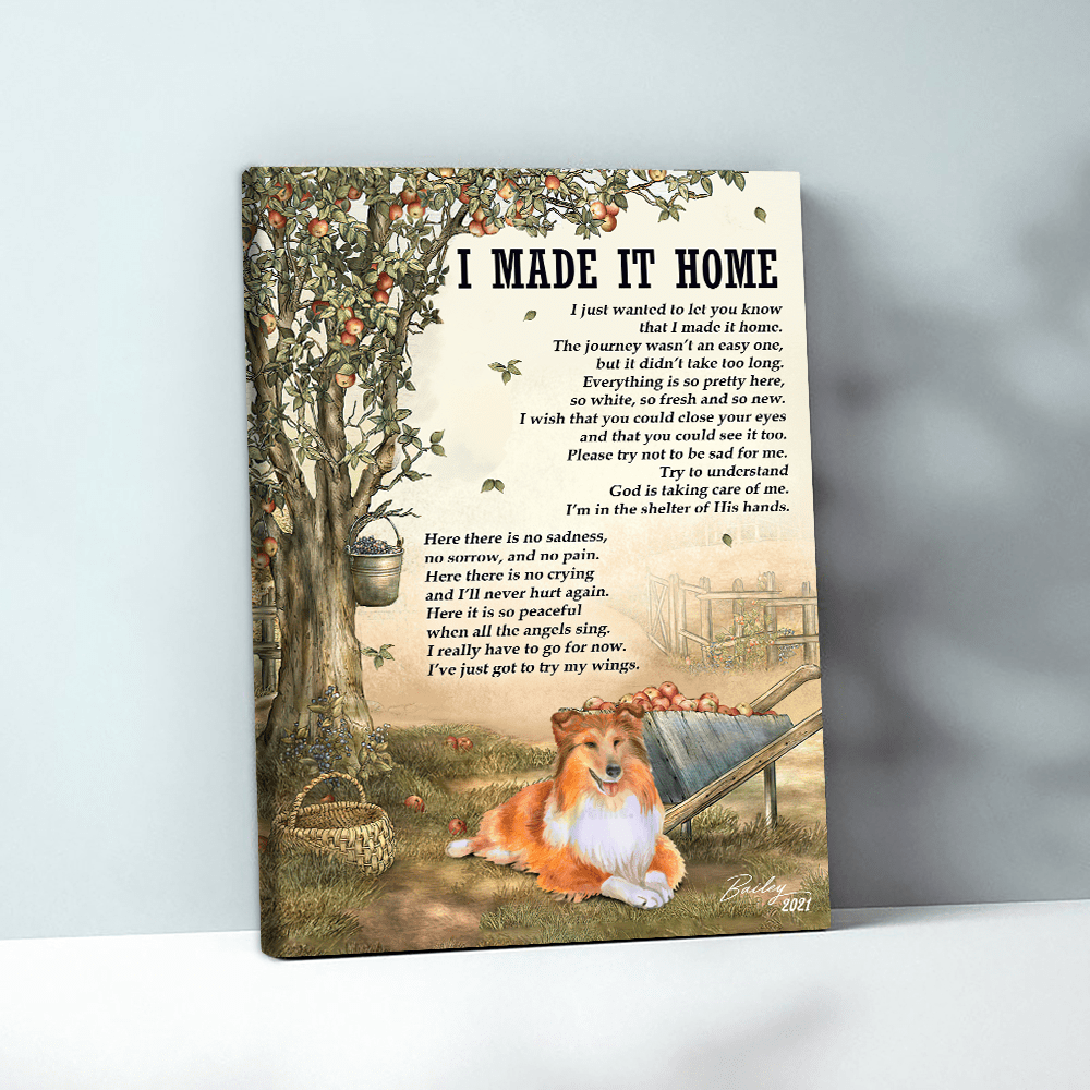 62033-Personalized Shetland Sheepdogs Memorial Gift, I Made It Home, Loss Of Dog Canvas H1