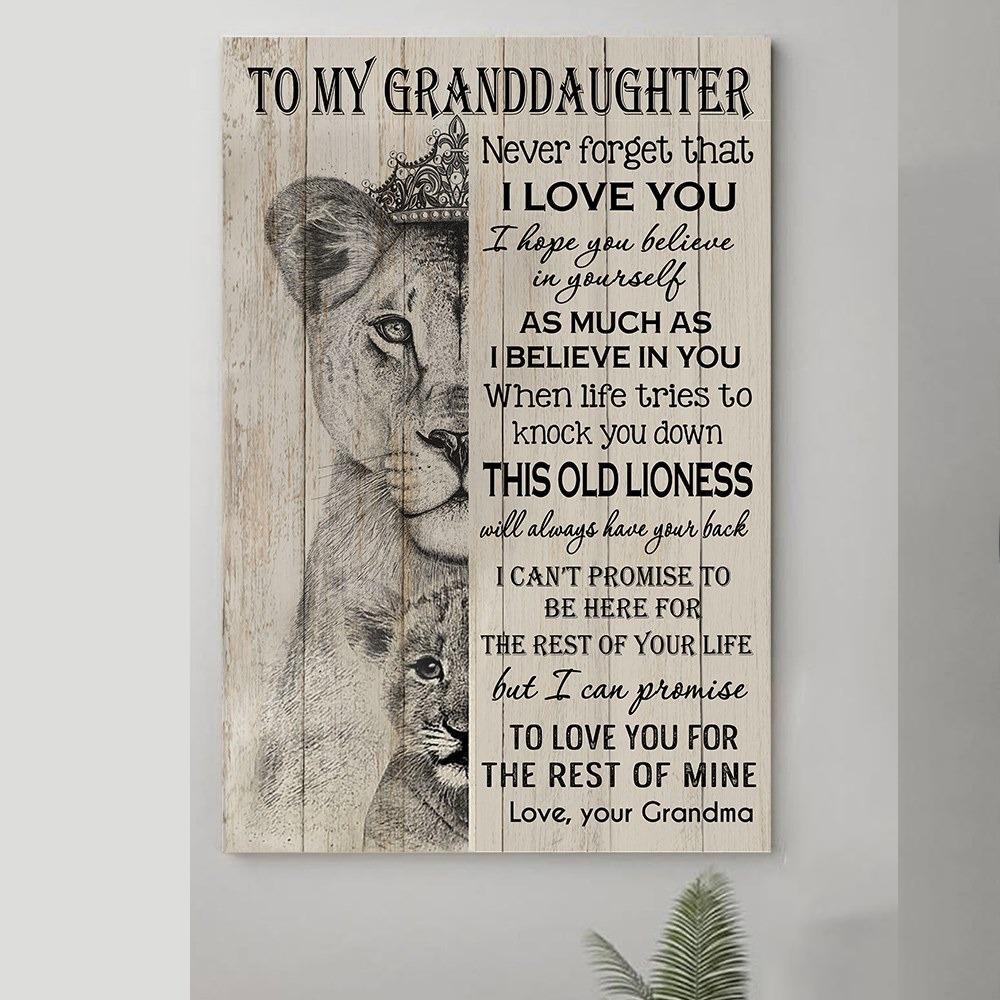 To my granddaughter lion poster canvas