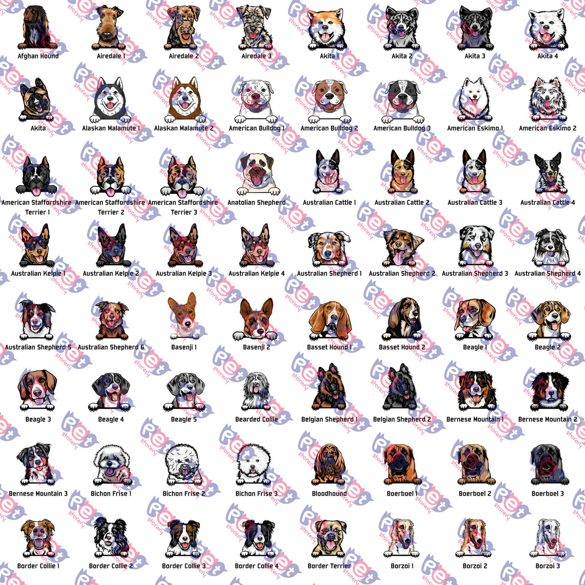 49786-