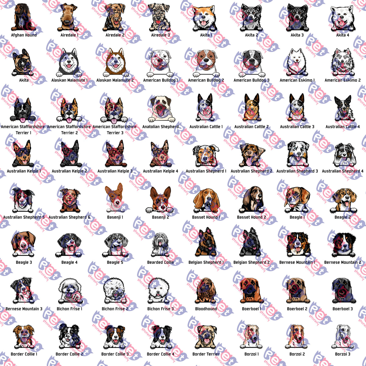 49781-