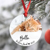 Personalized Cat Photo Pet Photo Custom Cat Ornament