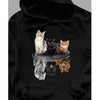 Gift for cat lover  Cat outside but lion inside hoodie for cats lover