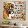 My Sunshine Boxer Canvas