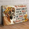 My Sunshine Boxer Canvas