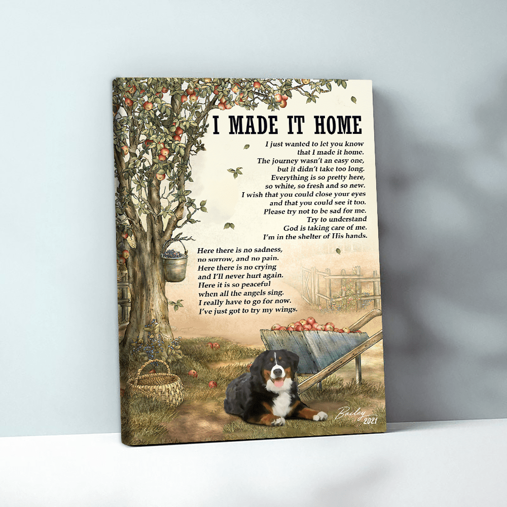 62023-Personalized Bernese Mountain Dogs Memorial Gift, I Made It Home, Loss Of Dog Canvas H1