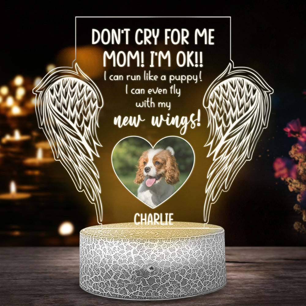 78476-Dog Mom Gift Memorial Pet Don't Cry For Me Personalized Night Light H1
