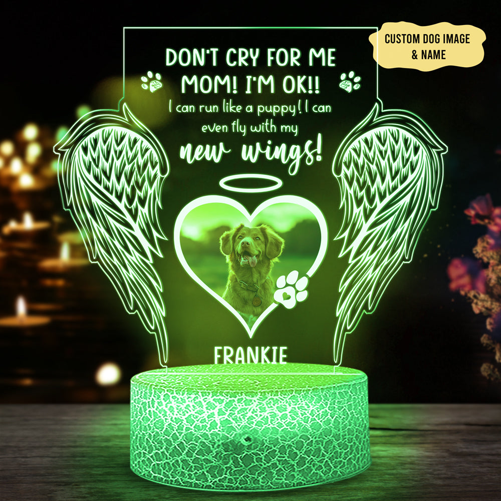 78906-Dog Mom Gift Memorial Pet Fly With New Wings Personalized Night Light H1
