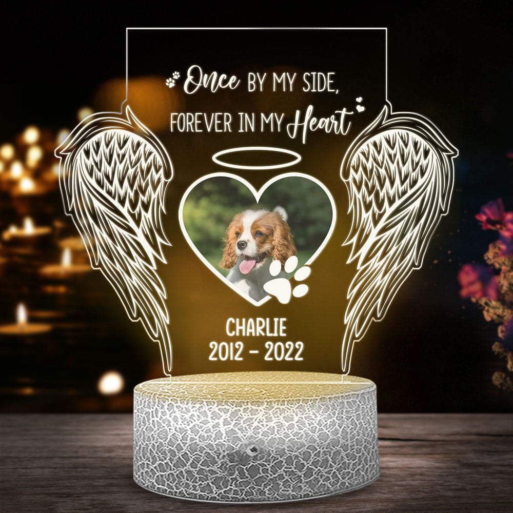 79245-Dog Lover Gift Memorial Pet Once By My Side Personalized Night Light H1