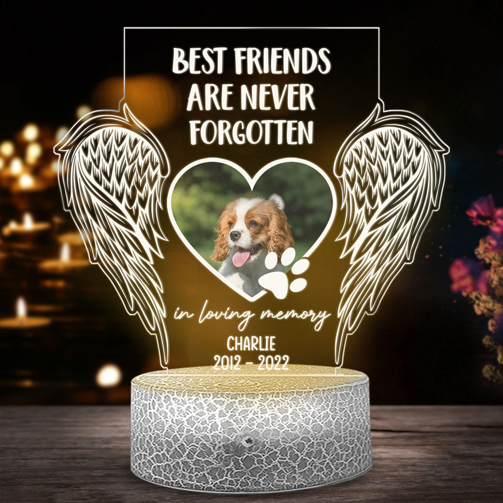 79254-Dog Lover Gift Memorial Pet Once By My Side Personalized Night Light H1