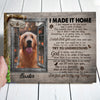 Made It Home Sympathy Loss Of Pet Memorial Personalized Photo Canvas