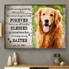 Personalized Dog Memorial Gift Sometimes A Very Special Dog Enters Our Lives Standard Poster