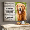 Personalized Dog Memorial Gift Sometimes A Very Special Dog Enters Our Lives Canvas