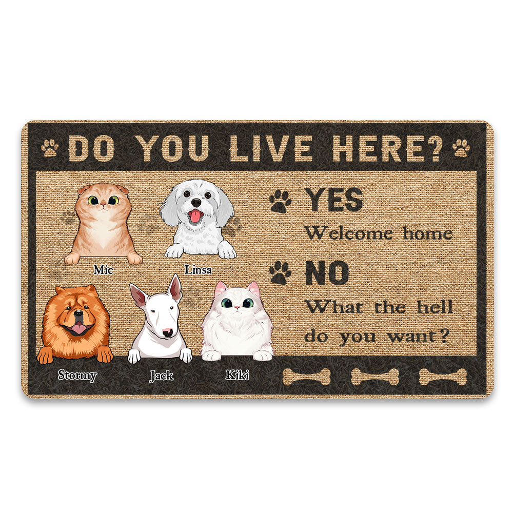 Pet Lovers Dog Cat Do You Live Here Funny Personalized Doormat