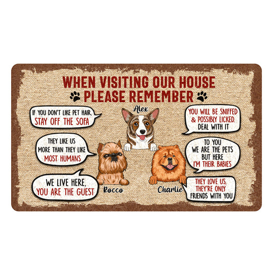 Pet Lovers Dog Cat Visiting Our House 2 Funny Personalized Doormat