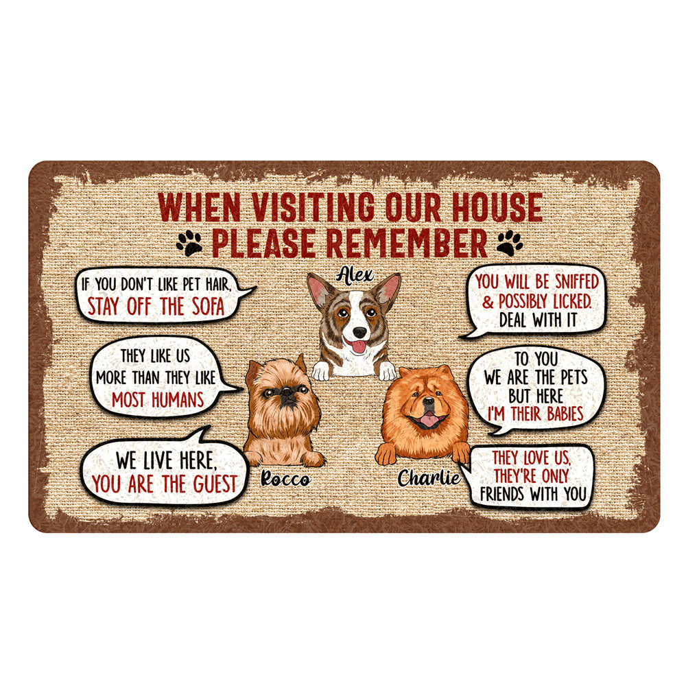 Pet Lovers Dog Cat Visiting Our House 2 Funny Personalized Doormat