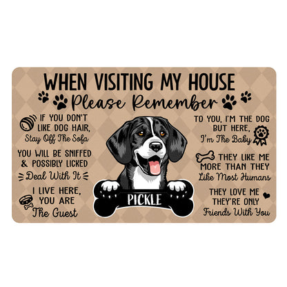 Pet Lovers Dog Cat When Visiting My House Funny Personalized Doormat