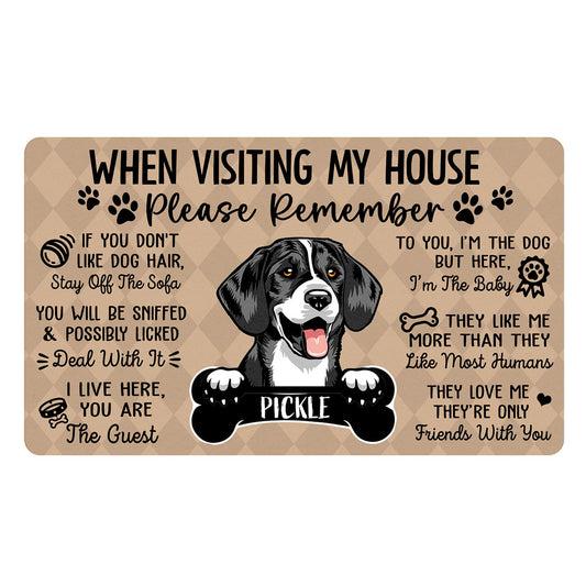 Pet Lovers Dog Cat When Visiting My House Funny Personalized Doormat