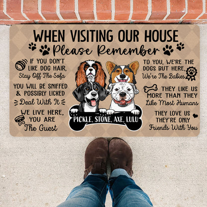 Pet Lovers Dog Cat When Visiting My House Funny Personalized Doormat