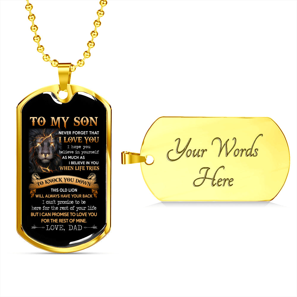 Gift For Son From Dad Lion Dog Tag Dad And Son Necklace