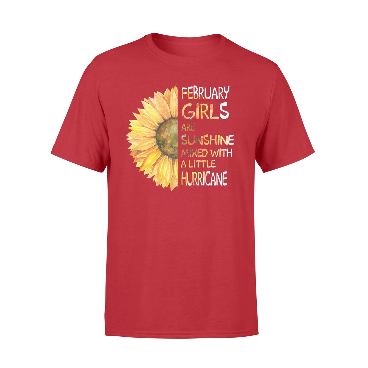 February girls are sunshine mixed with a little hurricane  Gifts for February girls